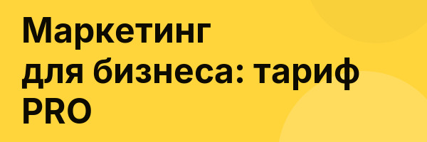 Маркетинг для бизнеса: тариф PRO
