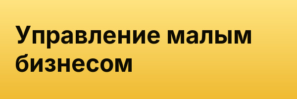 Управление малым бизнесом