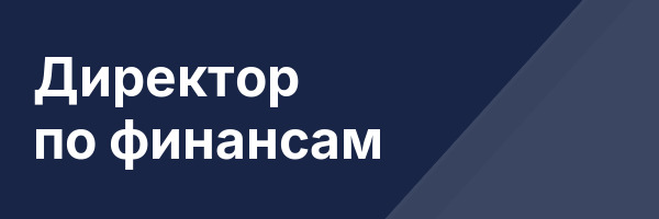 Директор по финансам