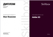 Курс «Adobe XD» от Skillbox