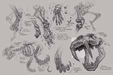 Курс «Скетчинг» от XYZ School